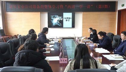 遂寧遂星實業有限公司籌備組集體學習暨“兩周一學一講”活動成功舉行