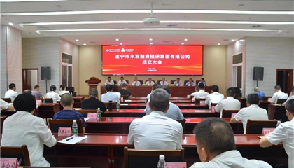 啟新篇 “興”未來┃遂寧市豐發融資擔保集團有限公司成立