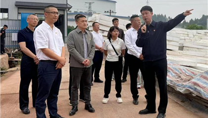 興業集團黨委開展“黨建引領聚合力 攻堅克難顯擔當”主題黨日暨現場教學活動