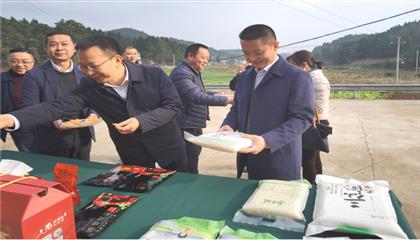 市委常委、政法委書記劉波濤帶隊調研指導定點幫扶村鄉村振興工作